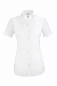 Damenbluse 1/2 Arm weiss oder farbig Gr.32-52 BASIC regular fit