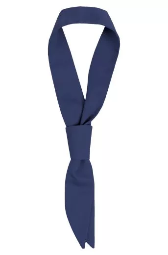 Servicekrawatte farbig VE = 3 Stck G 297.6000